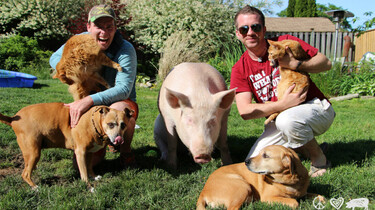 Szenenbild: Die Familie mit ihrem Schwein und Hunden im Garten