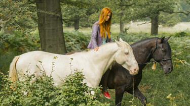 Mika mit den beiden Pferden 33 und Ostwind im Wald.
