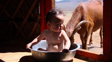 Szenenbild: Ein Baby in Waschschüssel wird von einer Ziege beschnuppert